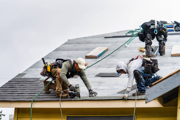 Professional Gutter Installation technician working in Argusville, ND